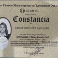 Ampliar imagen: certificate 3
