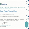 Ampliar imagen: certificate 9