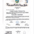 Ampliar imagen: certificate 2