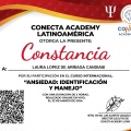Ampliar imagen: certificate 35