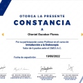 Ampliar imagen: certificate 7