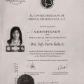 Ampliar imagen: certificate 4