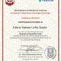 Ampliar imagen: certificate 9