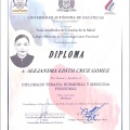 Ampliar imagen: certificate 2