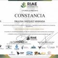Ampliar imagen: certificate 4