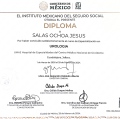 Ampliar imagen: certificate 7