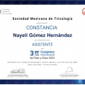 Ampliar imagen: certificate 12