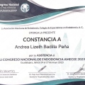 Ampliar imagen: certificate 11