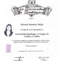 Ampliar imagen: certificate 23