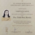 Ampliar imagen: certificate 2