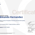 Ampliar imagen: certificate 2