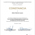 Ampliar imagen: certificate 2
