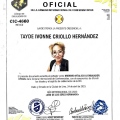 Ampliar imagen: certificate 45