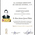 Ampliar imagen: certificate 3