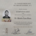 Ampliar imagen: certificate 1