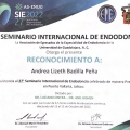 Ampliar imagen: certificate 10