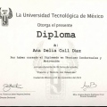 Ampliar imagen: certificate 6