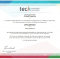 Ampliar imagen: certificate 5