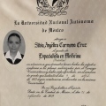 Ampliar imagen: certificate 3