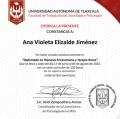 Ampliar imagen: certificate 3