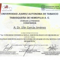 Ampliar imagen: certificate 5