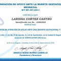Ampliar imagen: certificate 1