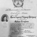 Ampliar imagen: certificate 3
