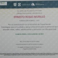 Ampliar imagen: certificate 5
