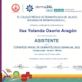 Ampliar imagen: certificate 21