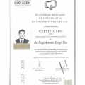 Ampliar imagen: certificate 4