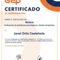 Ampliar imagen: certificate 13