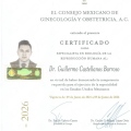Ampliar imagen: certificate 3