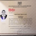 Ampliar imagen: certificate 1