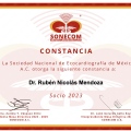 Ampliar imagen: certificate 13