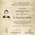Ampliar imagen: certificate 1
