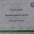 Ampliar imagen: certificate 3