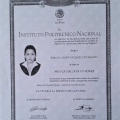 Ampliar imagen: certificate 2