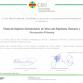 Ampliar imagen: certificate 6