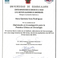 Ampliar imagen: certificate 9