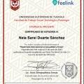 Ampliar imagen: certificate 6