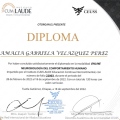 Ampliar imagen: certificate 2