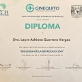 Ampliar imagen: certificate 7