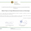 Ampliar imagen: certificate 9