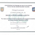 Ampliar imagen: certificate 6