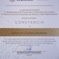 Ampliar imagen: certificate 7