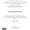 Ampliar imagen: certificate 5