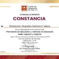 Ampliar imagen: certificate 7
