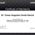 Ampliar imagen: certificate 2