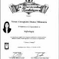 Ampliar imagen: certificate 3