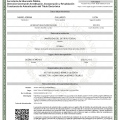 Ampliar imagen: certificate 7